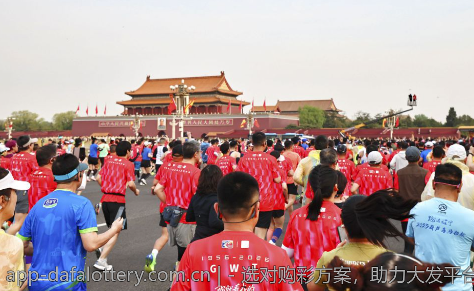 - 选对购彩方案，助力大发平台